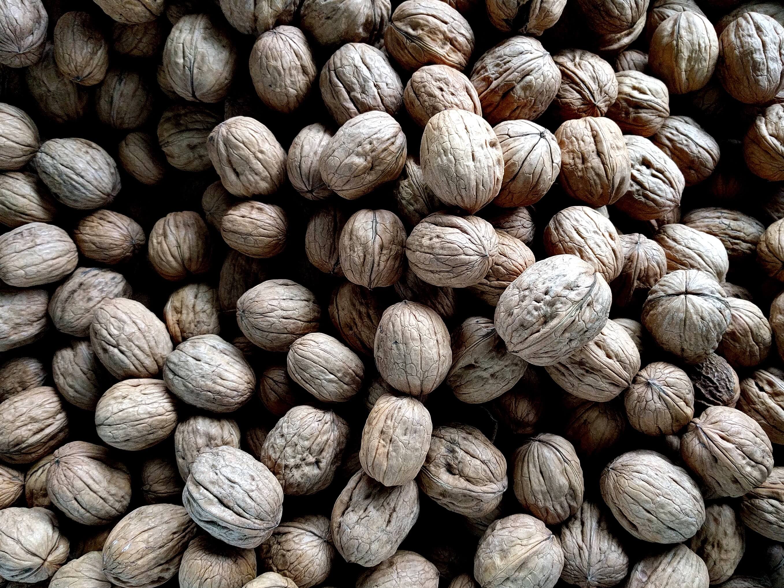 lots of walnuts