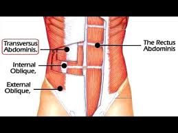picture of a the abdominal area