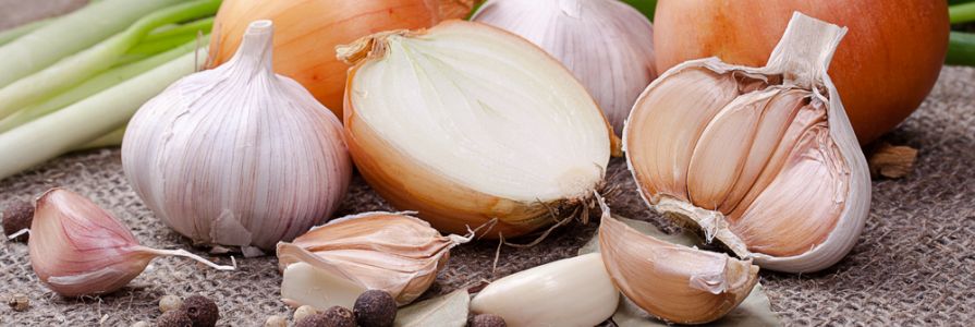 onions garlic and leeks