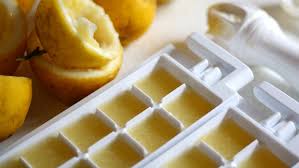 picture of lemon in icecube trays
